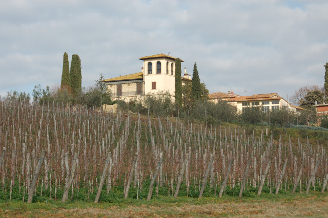 Escursione in cipresseta